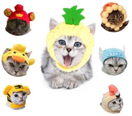 תחפושת כובע לחיית מחמד